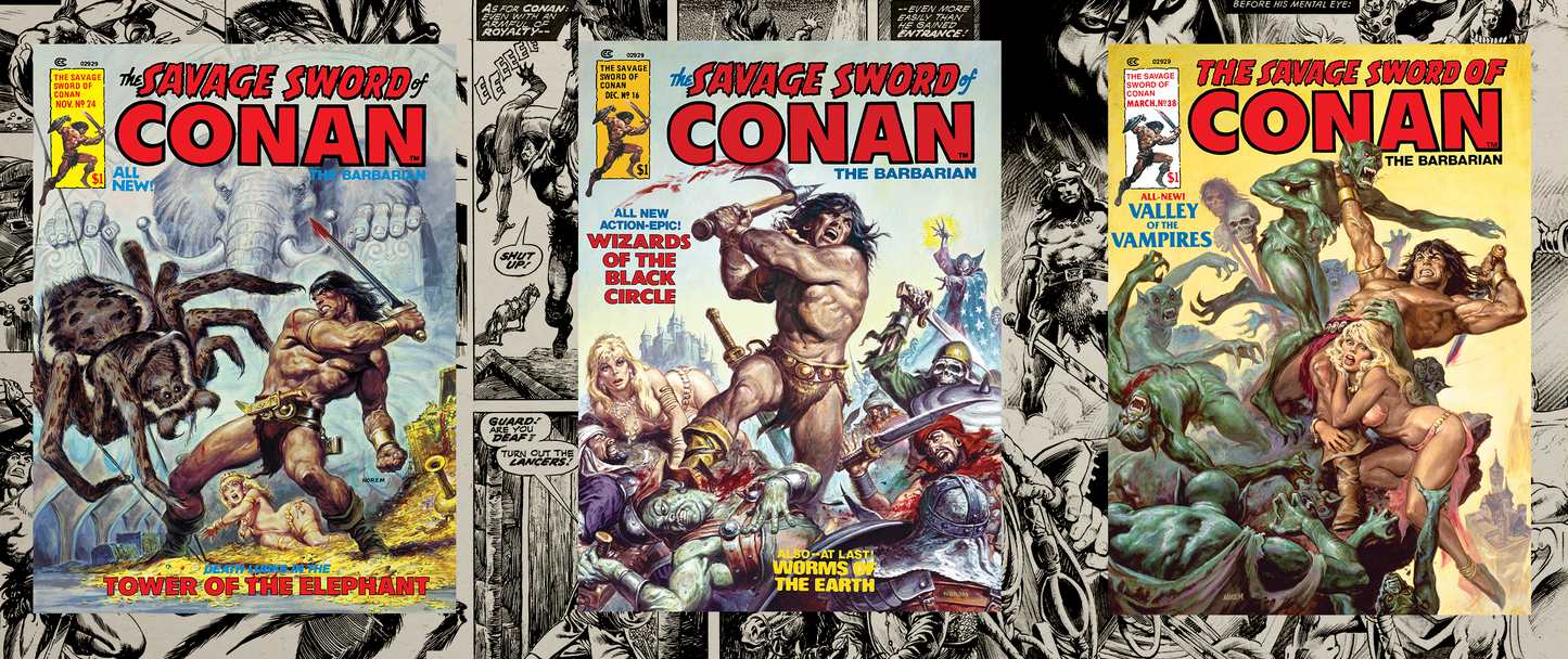 Conan - Earl Norem Classic Savage Sword Covers Mug